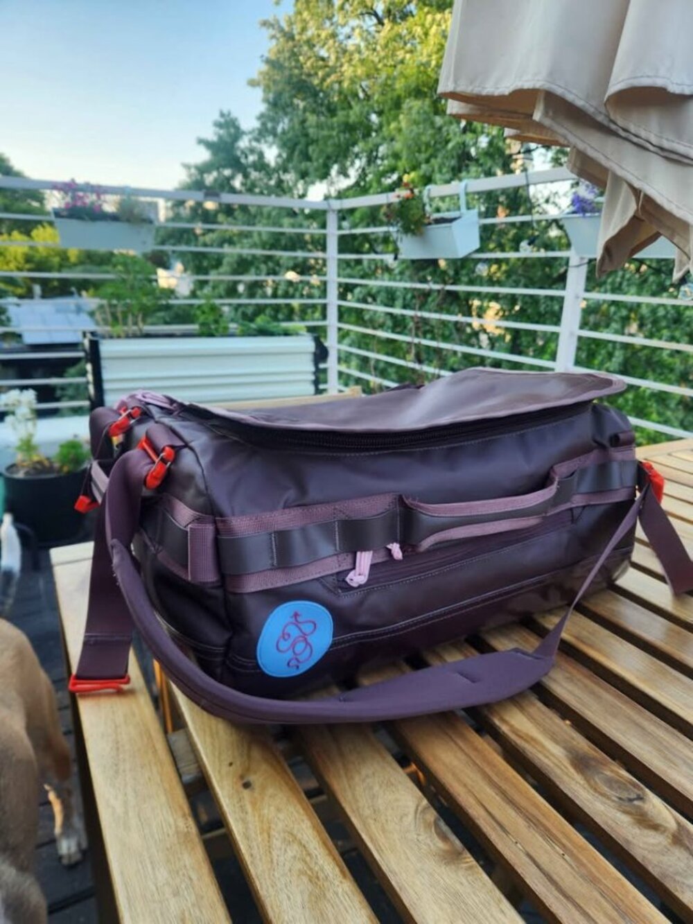 32L Go Bag Mini | Baboon to the Moon 🚀